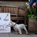 Rory the dog stands next to a sign erected outside the polling station at St James' Church hall in Inverleith, Edinburgh.