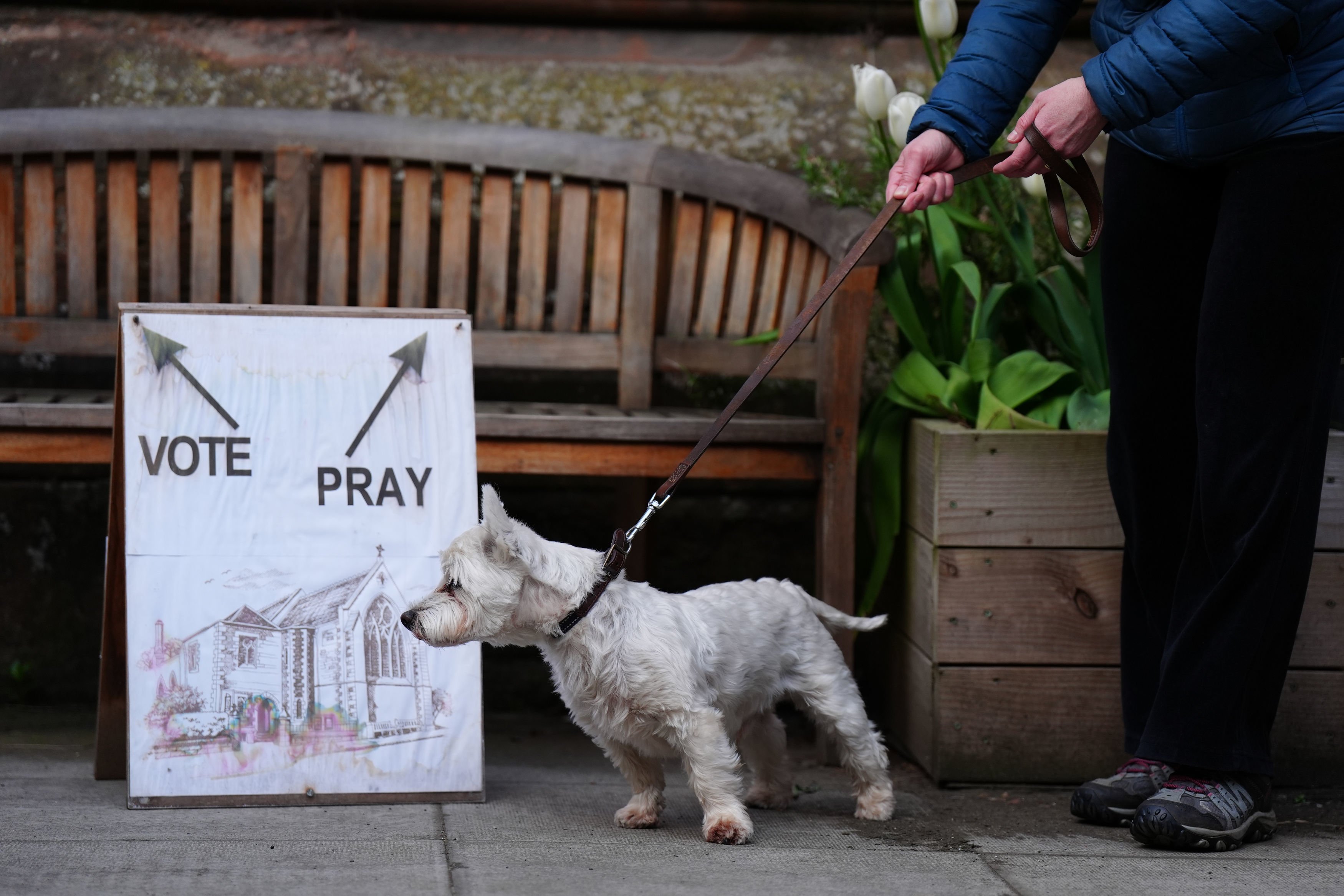 Dogs at Polling Stations 2026: Here are 16 amazing pictures of dogs ...