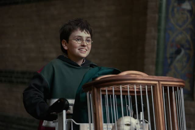Dominic McLaughlin as Harry Potter in the HBO TV series.