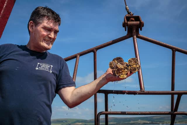 Loch Ryan native oysters and Vital Spark Skipper John Lamont