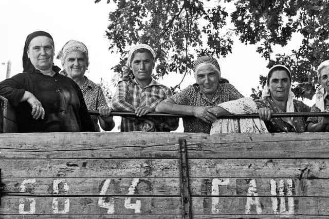 Grape picking, Georgia, 1989, Franki Raffles