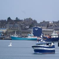 Fishermen demand urgent action after Norwegian vessel lands half of Shetland's quota in one day