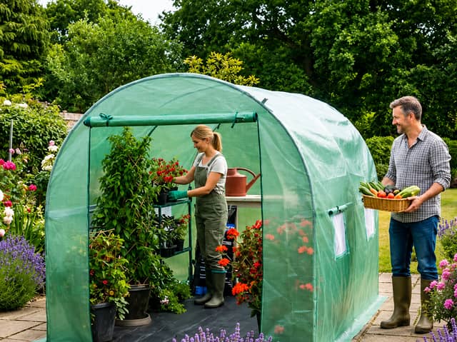 The spacious walk-in greenhouse includes ventilation windows and a weather-resistant PE cover for year-round outdoor use.