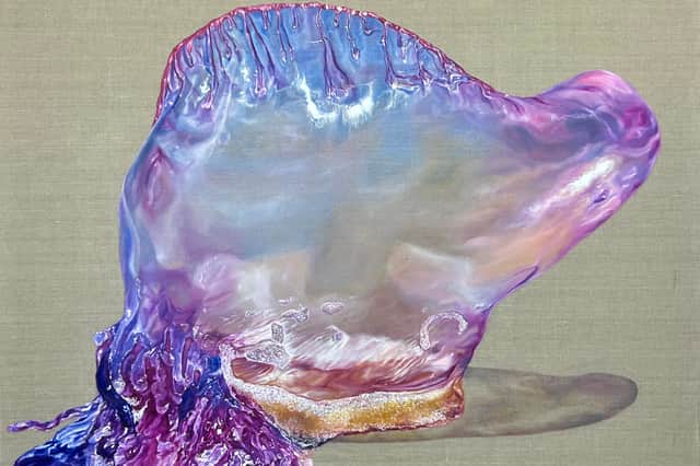 Physalia Physalis III by Chloé Grimes-Biltis