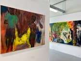 Installation view of work by Evie Robinson at the 2026 GSA Degree Show 
