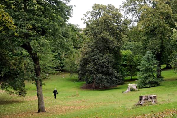 Queen Street Gardens