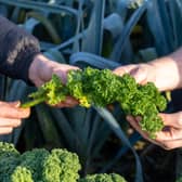 Edinburgh Food & Drink Academy announces partnership with RBGE