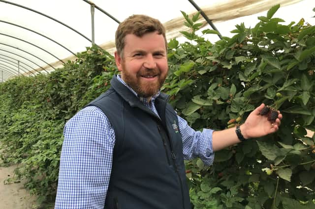 John Gray of Angus Soft Fruits 