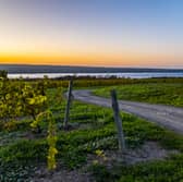 The Finger Lakes where vineyards meet spectacular scenery. 