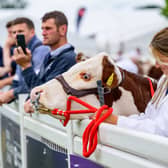 The Royal Highland Show is taking place near Edinburgh