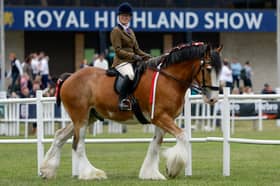 Clydesdale horses are shown during the 240th Royal Highland Show at the Royal Highland Centre on June 18, 2026 in Edinburgh, Scotland.