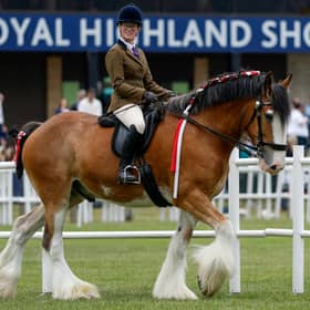 Clydesdale horses are shown during the 240th Royal Highland Show at the Royal Highland Centre on June 18, 2026 in Edinburgh, Scotland.