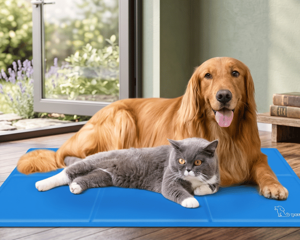 The extra-large Pecute mat gives dogs a spacious cooling surface for warmer days at home or while travelling