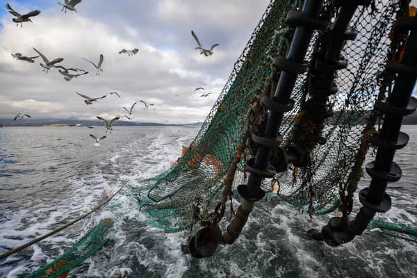 There is a place for trawling but some sensitive habitats need to be protected (Picture: Jeff J Mitchell)