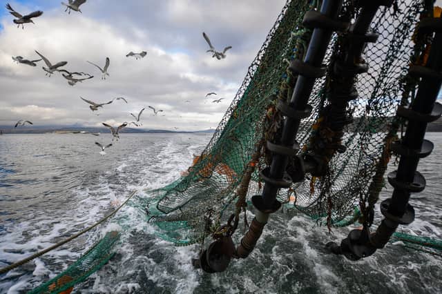There is a place for trawling but some sensitive habitats need to be protected (Picture: Jeff J Mitchell)