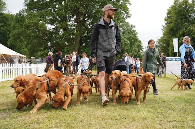 The Game Fair is a very dog-friendly event