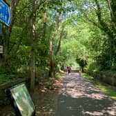 Cyclists and pedestrians using Edinburgh's paths are being put at risk by over-powered e-bikes (Picture: Ian Johnston)