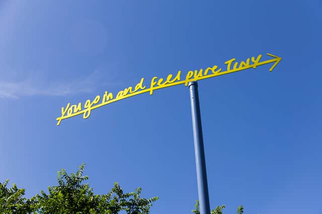 One of the weathervanes that make up Superstructure by Jasleen Kaur