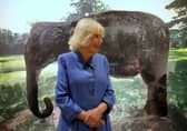 Queen Camilla visits the Chaos and Control, Printmaking in Scotland Now exhibition at the Royal Scottish Academy in Edinburgh (Picture: Steve Welsh/WPA pool)