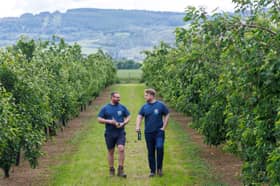 Fin Hay and Jamie Morrison of Lost Orchards Cider at the orchard at Hay Farms in Perthshire.jpg