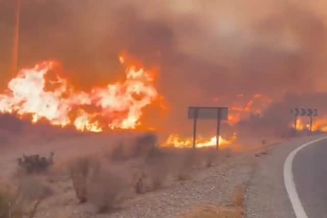 Screengrab taken from video of part of a wildfire in Almeria, Andalucia, that has killed 11 people in southern Spain.