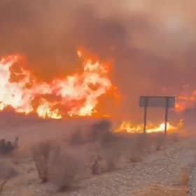 Screengrab taken from video of part of a wildfire in Almeria, Andalucia, that has killed 11 people in southern Spain. 