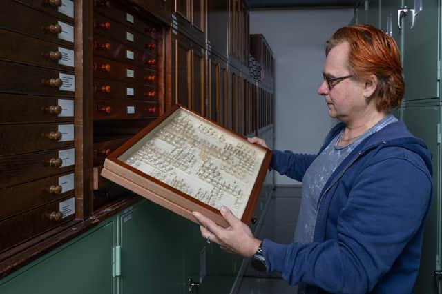 The Pelham-Clinton moth collection held at the National Museums Collection Centre in Edinburgh, includes over 2,000 moths and butterflies.