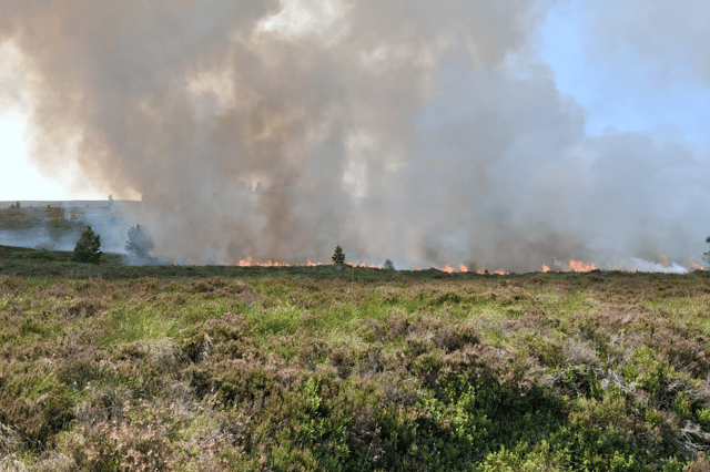 Homes have been evacuated following the outbreak of the wildfires. PIC: RSPB