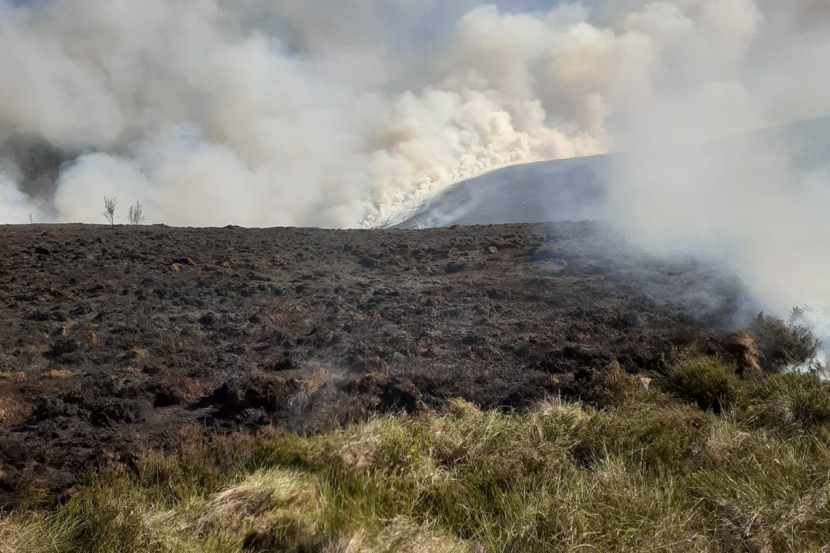 Waldbrand in den Cairngorms: A9-Spur wegen Ausbreitung des Feuers gesperrt