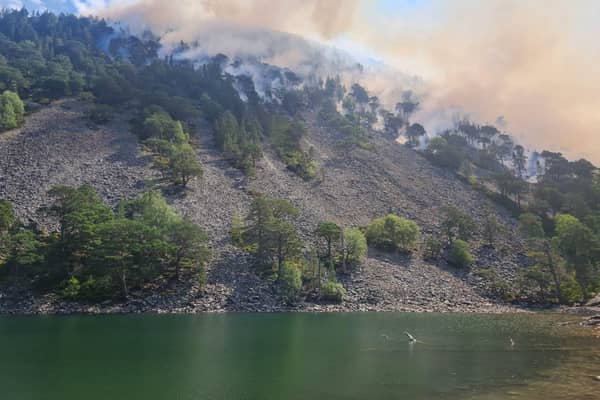 Those assisting with the wildfire said they are still trying to contain it 