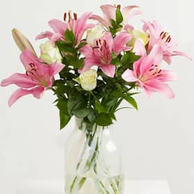 Rose & Lily Chic