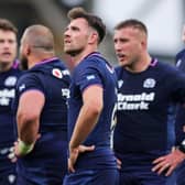 Scotland beat Argentina and Fiji and pushed South Africa all the way in their Nations Championship fixtures (Pic: SNS)