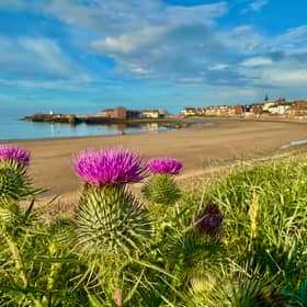 Beautiful North Berwick