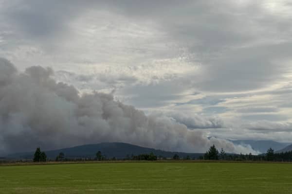 Smoke rises from the wildfire near Nethy Bridge on Friday hours before First Minister John Swinney made a formal request to the Ministry of Defence fo for aerial support to help tackle the blaze, which started on Wednesday, July 15.