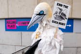 Wildlife campaigner Robert Pownall dressed as a gannet outside the Waverley Court polling station in Edinburgh (Jane Barlow/PA)