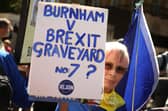 Andy Burnham must resist efforts to persuade him to back a return to the European Union at the next election (Picture: Alishia Abodunde)