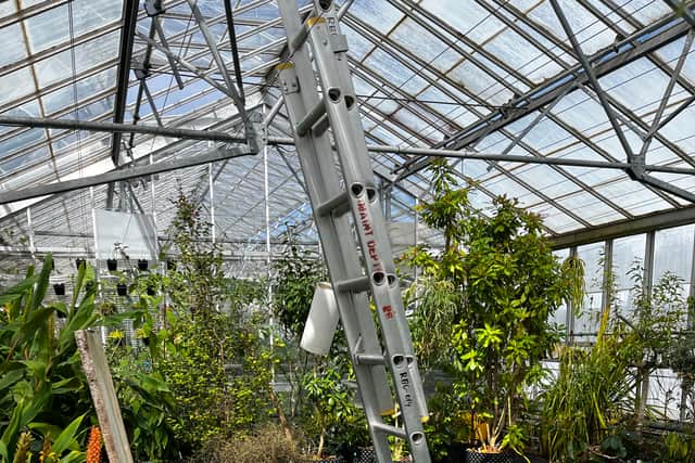 Rare plants have been evacuated from a research glasshouse at the Royal Botanic Garden Edinburgh after a vent arm mechanism failed.