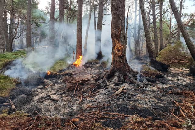 SFRS share images of the scene of the ongoing wildfire in the Cairngorms National Park