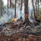 SFRS share images of the scene of the ongoing wildfire in the Cairngorms National Park 