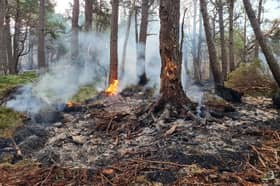 SFRS share images of the scene of the ongoing wildfire in the Cairngorms National Park 