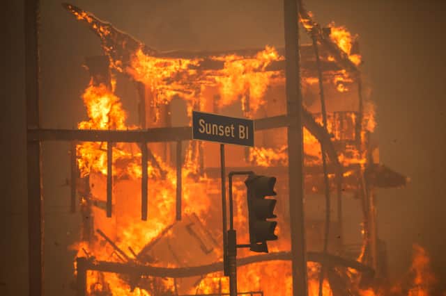 Flames from the Palisades wildfire burn a building on Sunset Boulevard in Los Angeles last year (Picture: Apu Gomes)