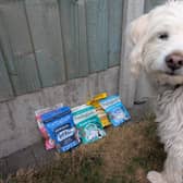 Forthglade's Soft bites multifunctional dog treats multipack offers six 90g bags - and Rupert loved every one