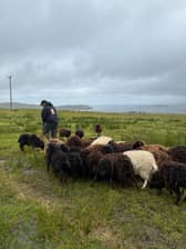 Jake Sayles at work on Skye 