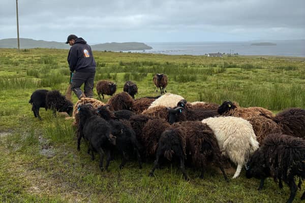 Jake Sayles at work on Skye 