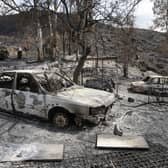 Burnt-out cars in Almocaizar, Spain, after the deadly Los Gallardos wildfire swept through the area last month (Picture: Pablo Blazquez Dominguez)