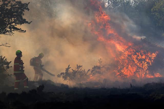 Firefighters bring a wildfire under control near Bonhill earlier this year (Picture: Jeff J Mitchell)