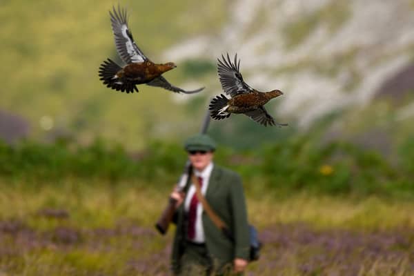 Public discussion of grouse shooting often overlooks the local workers and the businesses supplying food, equipment, vehicles and services (Picture: Jeff J Mitchell)