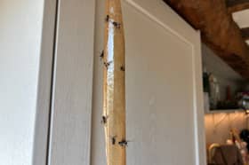 Old fashioned fly paper still has a role to play - but there’s no shortage of modern gizmos to fight off the flies this summer