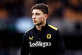 Motherwell have completed the signing of Republic of Ireland international midfielder Joe Hodge. Cr: Getty Images.