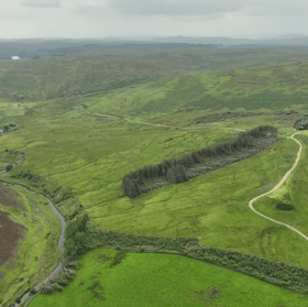 Part of the proposed site for the Whistlaid forestry plantation 